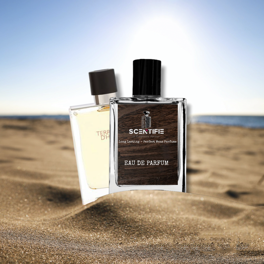 ermès Terre d'Hermès Perfume For Men